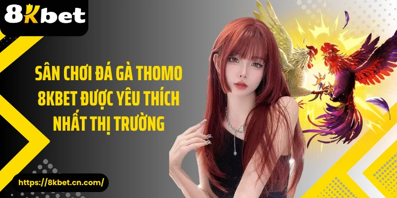 Sân chơi đá gà thomo 8KBET được yêu thích nhất thị trường