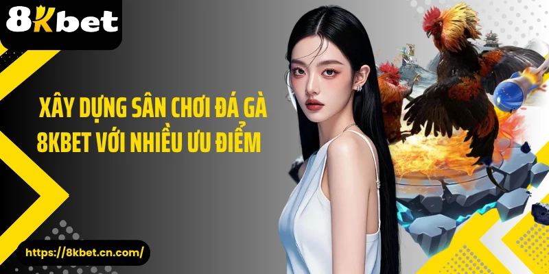  Xây dựng sân chơi đá gà 8KBET với nhiều ưu điểm 